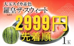 ２９９９円・先着順・シャリ度NO1の農林水産大臣賞受賞・羅皇ザ・スイート」