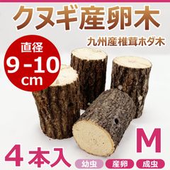 クヌギ産卵木　４本入　直径約9～10㎝　Mサイズ　九州産　椎茸　ホダ木　クワガタ産卵木に最適！！　カブトムシ・クワガタの止まり木にもおすすめ！ M41