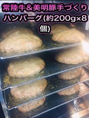 茨城県産 常陸牛&美明豚手づくり特選 ハンバーグ(約200g×8個)セット