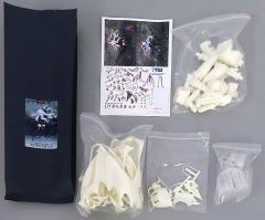 ブルーアーカイブ 空崎ヒナ ガレージキット wf2025w 蒼月アオキ - メルカリ