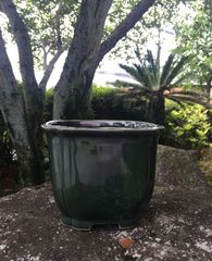 秋山作 植木鉢 織部 正角 撫角 隅入 盆栽鉢