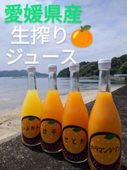 愛媛県産生搾りカラマンダリンジュース2本