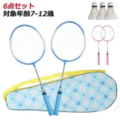 6点 セット 【】【6点セット】バドミントンセット バドミントンラケット バドミントン 対象年齢7-12歳 【】【6点セット】バドミントンセット キッズ こども ジュニア バトミントン 6yXw847