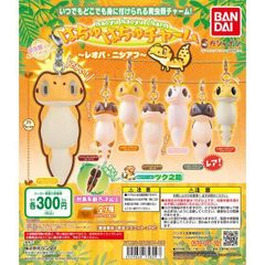 バンダイはちゅはちゅチャーム～レオパ・ニシアフ～第一弾　はちゅはちゅチャーム2～フトアゴ～第二弾
