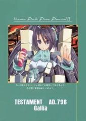[중고] 남성향 일반 동인지 ≪오리지널≫ TESTAMENT AD.796 Gallia Historica Double Divine Dominion VI / 가와카미 미나리 / TENKY