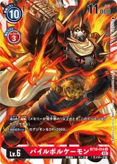 2025年最新】パイルボルケーモンの人気アイテム - メルカリ
