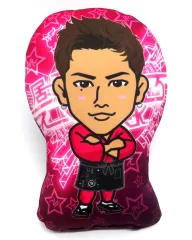 2025年最新】三代目j soul brothersクッションの人気アイテム - メルカリ