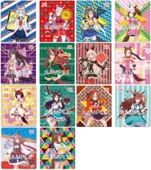【中古】食玩 雑貨 全14種セット 「ウマ娘 プリティーダービー マグネットコレクションガム2」