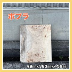 ポプラ　コブ　無垢材　木材　DIY木材　サイドテーブル　台座　インテリア　木工作品