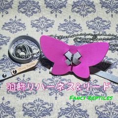 フトアゴヒゲトカゲ用羽飾りハーネス&リード フェアリー