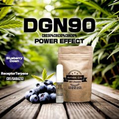 DGN強体感リキッド 0.5ml CBD CBG CBN レセプターテルペン配合 INDICA