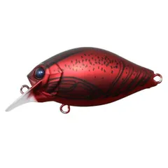2025年最新】issei チーラの人気アイテム - メルカリ