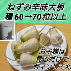 まとめ買い歓迎 旬の春野菜×チャイニーズフード”で季節を感じ、体内