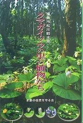 2024年最新】クマガイソウの人気アイテム - メルカリ