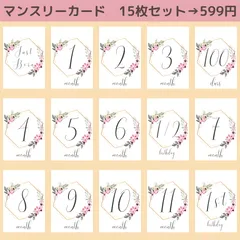 No.951マンスリーカード月齢フォト月齢カードニューボーンフォトベビーキッズアルバム命名書マンスリーフォト