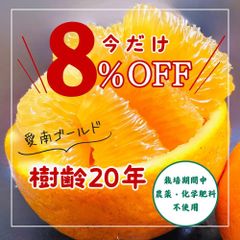 ８％オフ‼️愛媛愛南町産　樹齢20年以上　愛南ゴールド　河内晩柑　農薬不使用8kg