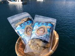 生食用　南三陸志津川より牡蠣漁師直送　真牡蠣のむき身ぎっしり300g×2パック
