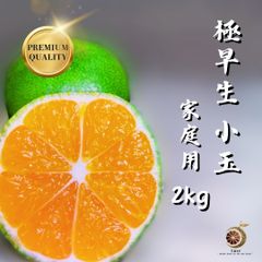 味濃い玉津みかん‼️俺の厳選　極早生　秀品＋家庭用ランク込み　小玉2kg