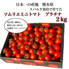 【初物】ソムリエミニトマト　プラチナ　箱込み２kg （９０玉〜１５０玉）