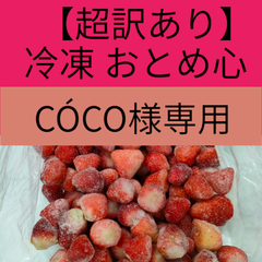 COCO様専用 超訳あり10Kg