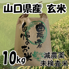 令和4年度産　山口県産　減農薬　玄米　10kg