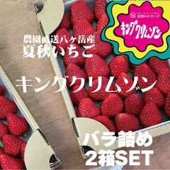 【キングクリムゾン】農園直送 夏秋イチゴ バラ詰め2箱SET