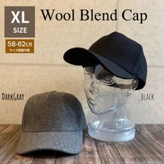 送料込 新品 キャスケット ボア プードル ボリューム 無地 男女兼用 秋冬 E 送料込 新品 キャスケット ボア 起毛 プードル ボリューム 無地 男女