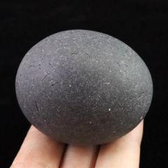 ダクティリオセラス 英国産 ノジュール標本 極美麗 超特大 80mm - メルカリ