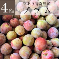 【北海道～中国四国エリア限定】　青森県産　無選別プラム（ソルダム）　4Kg　※クール便