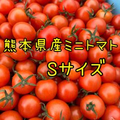 熊本県産 ミニトマト Sサイズ 900g