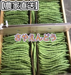★フォロワー様400円引き★ さやえんどう JA出荷農家直送 500g