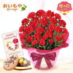 【おいもや公式】母の日限定 5号 カーネーション【感謝の気持ち・赤】 どら焼き スイーツ 和菓子 お菓子 鉢植え プレゼント 生花 花 レッド おしゃれ かわいい (お届け時期:5/5～11のいずれか)