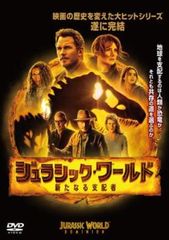 全巻セット【中古】DVD▼ログ・ホライズン 第2シリーズ(8枚セット)第1話～第25話 最終 レンタル落ち ログ・ホライズン 全8枚 第1話～第25話 最終 レンタル落ち 全巻
