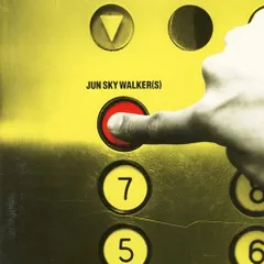 JUN SKY WALKER(S) captainレコード盤 JUN SKY WALKER(S) captainレコード盤 - メルカリ
