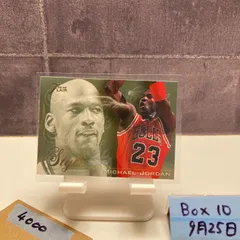 1995-96 Fleer Michael Jordan Chicago Bulls Style Insert カード