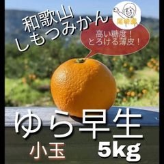 尾崎園