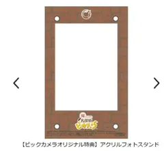 帰ってきた名探偵ピカチュウ　ビックカメラ　オリジナル特典　アクリルフォトスタンド
