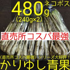 スポット特価〉沖縄県産 島らっきょう 約5kg【常温便】①の通販