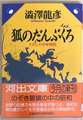 カイの冒険必勝攻略法 ザ・クエストオブカイ (ファミリー