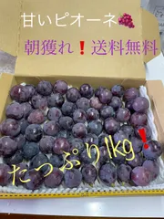 初物ハウス栽培ピオーネ❗️朝獲れ❗️あまーい❗️たっぷり1kg❗️ 送料無料❗️岡山県産　ハウス栽培　種なし　ピオーネ　粒売り　葡萄