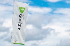 新品】vival α (ヴィバル アルファ) ドライバー 10.5 左利き用 - メルカリ