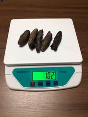 工場直売　関西産　A級品 乾燥赤なまこ  100g5本(計量時102g5本)