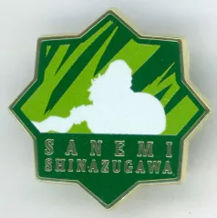 2026年最新】柱百景 コレクションピンズの人気アイテム - メルカリ