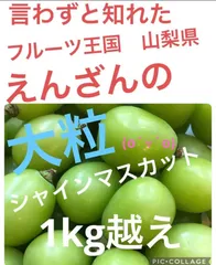 2024年最新】まるとよ農産の人気アイテム - メルカリ