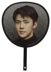 【中古】うちわ(男性) セフン(84) うちわ 「EXO PLANET #4 -The ElyXiOn- in JAPAN」