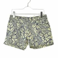 【PATAGONIA】57795 Stretch All-Wear Shorts TPGBショートパンツ