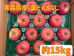 【家庭用】青森県産★葉とらずふじ約15kg★りんご