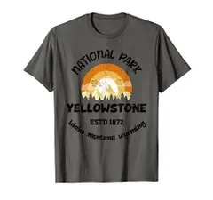 希少！ 90s〜00s YELLOW STONE 国立公園 Tシャツ-