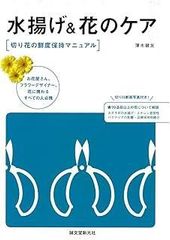 【中古】 ２５０語でできるやさしいロシア会話 改訂版/白水社/村手義治 Amazon.co.jp: 250語でできるやさしいロシア会話 ([テキスト