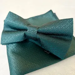 蝶ネクタイ結婚式 新郎 グリーン みどり メンズ お洒落 スーツ 二次会 披露宴 お色直し  パーティー 上品 フォーマル  ブライダル タキシード 高級感  ボウタイ 簡易装着 n19